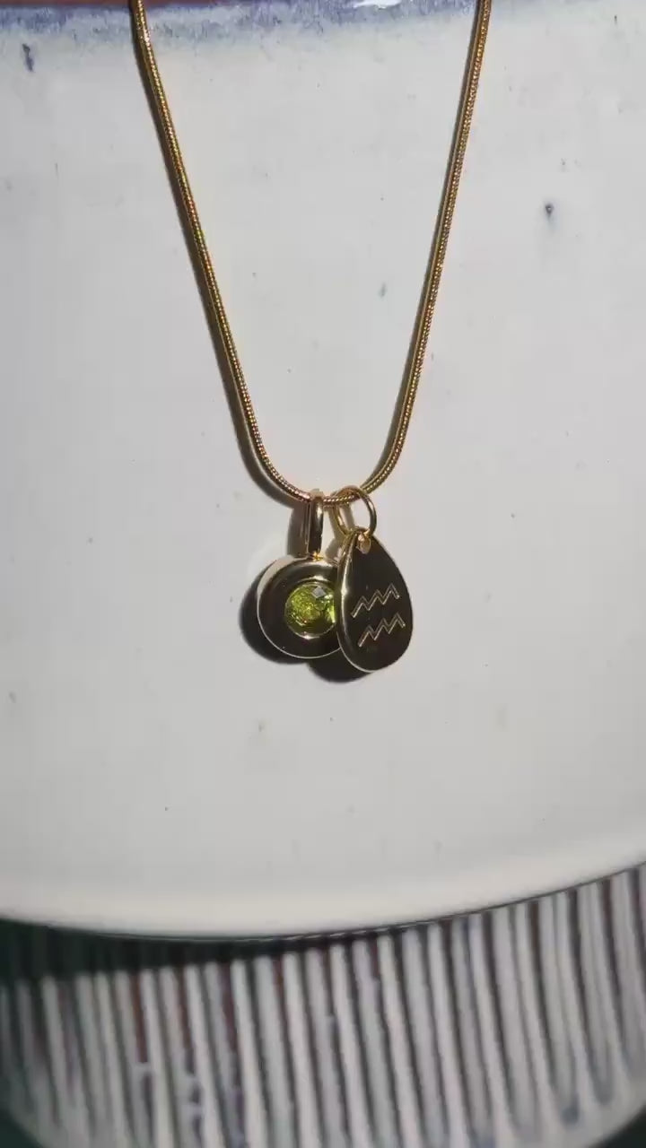 Birthstone zodiac charm necklace